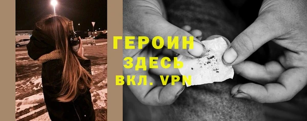 индика Алексин
