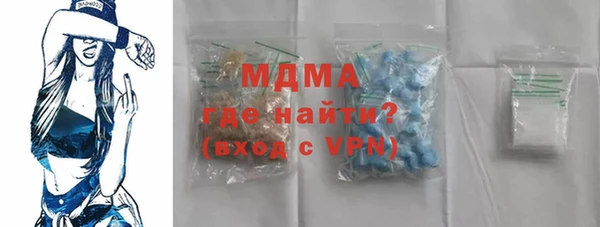 индика Алексин