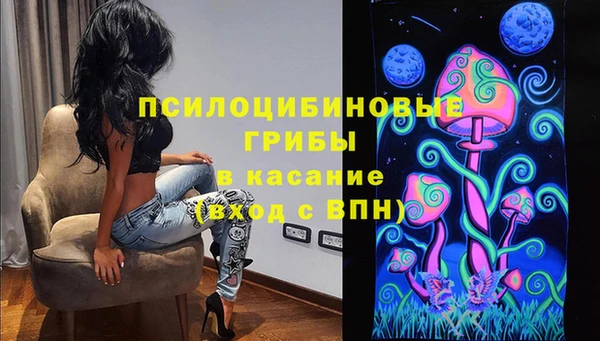 индика Алексин