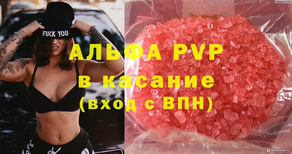 индика Алзамай