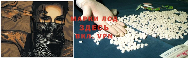индика Алексин