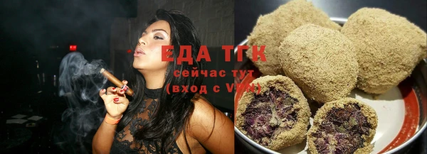 индика Алзамай