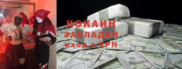 индика Алексин